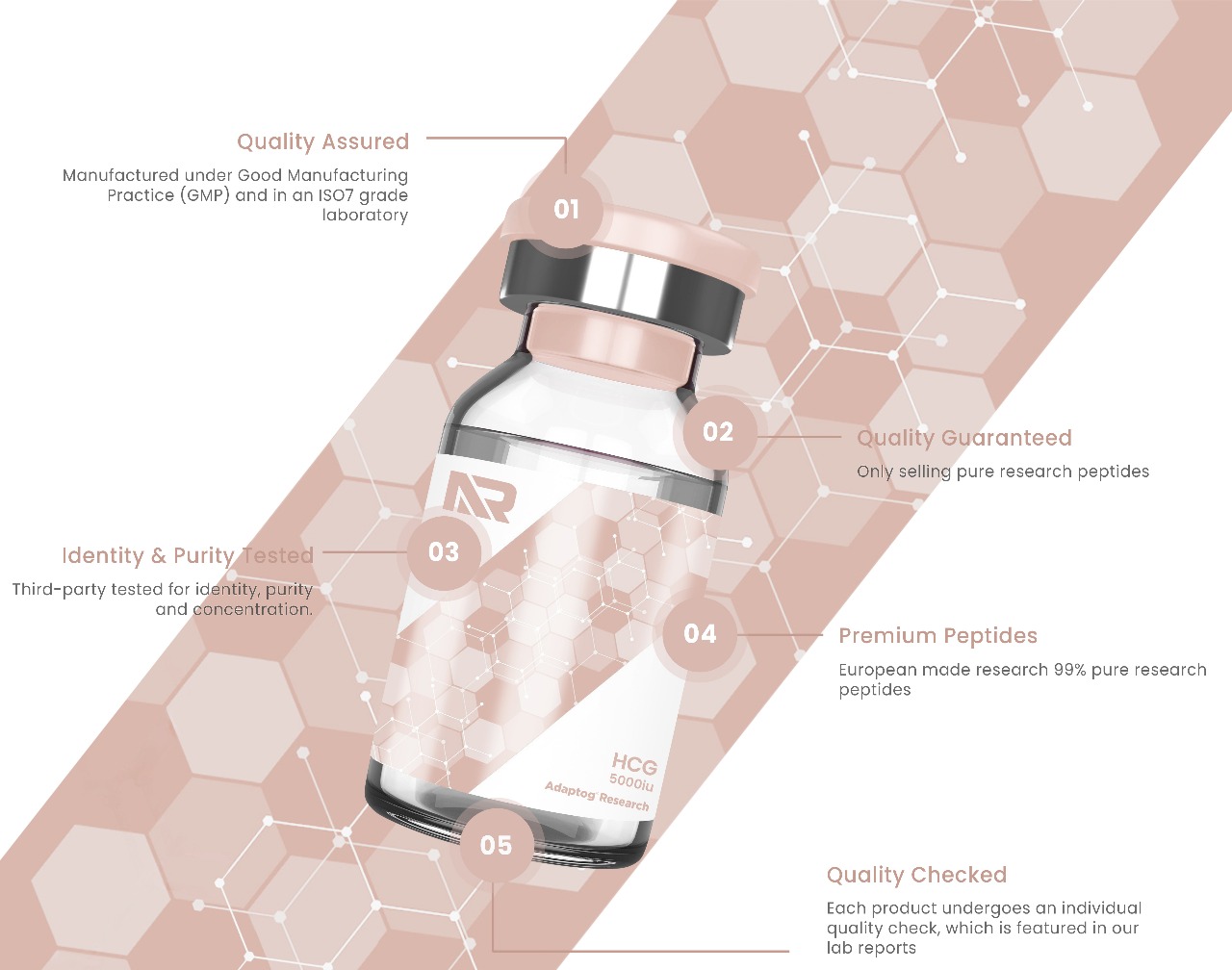HCG (Human Chorionic Gonadotropin) - Image 2